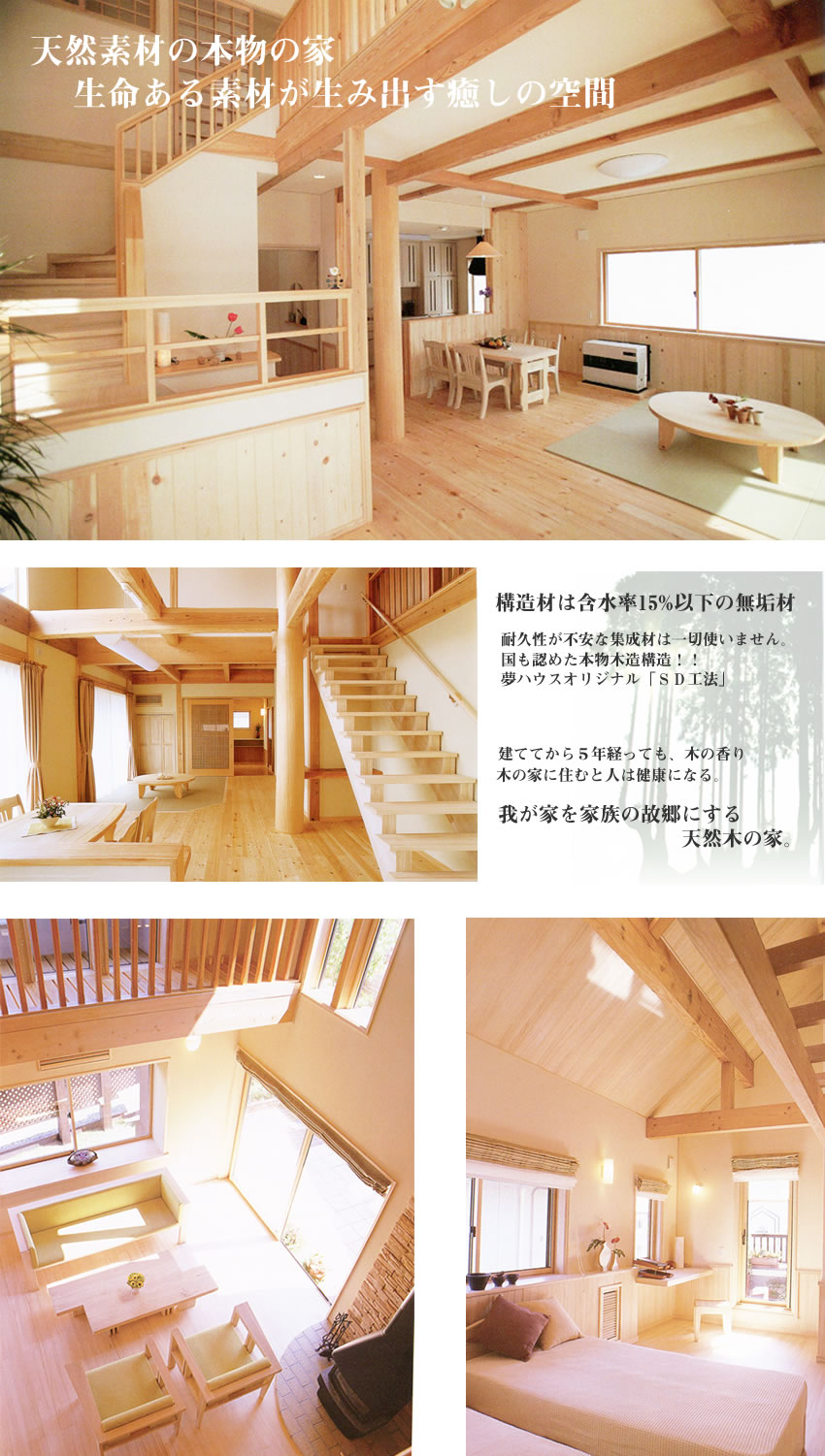 �V�R�f�ނ̖{���̉ƁE��������f�ނ����ݏo�������̋��